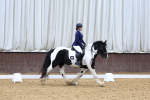 SBM_004427