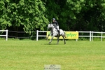 454-COOLEY_ROSALENT-Oliver_Townend-XC portfolio