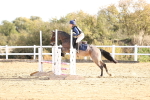 SBM_001166