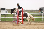 SBM_002401