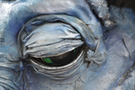 Mythical Creatures_128