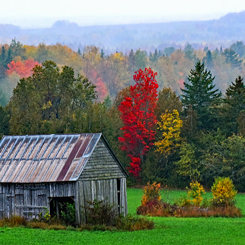 An old barn endures an autumn hail storm in York County, New Brunswick.