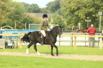 SBM_68249