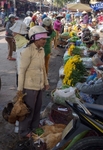 Hoi An market