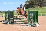 BPP_1968