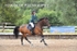 BPP_2915