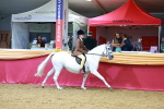 SBM_00338