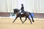 SBM_005271