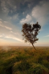 Leash Fen, Peak District
