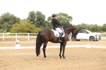SBM_001466