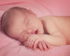 Willow 4