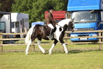 SBM_12291
