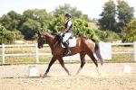 SBM_009370