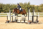 SBM_03897