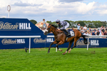 300826-Race 5-Harb-1130