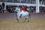 SBM_003680