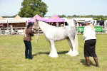 SBM_08568