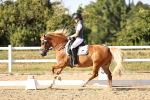 SBM_007726