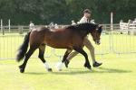 SBM_02158