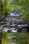 Reflections in the Brook