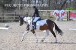 BPP_9590