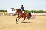 SBM_002601