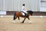 SBM_008522