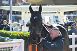 241025-Race 2-Relieved Of Duties-2471