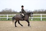 SBM_007534