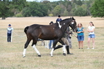 WJ6_6363