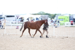 SBM_15340