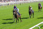 120725-Race 4-Al Qareem-5772
