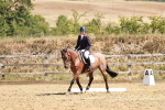SBM_001817