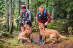 Glentress-2408