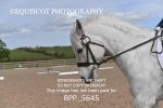 BPP_5645