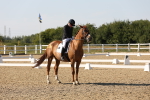 SBM_006890