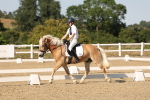 SBM_006932