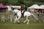 SBM_09206