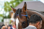 150526-Race 2-Lilt-7321