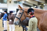 SBM_16193
