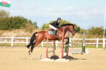 SBM_000755