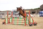 SBM_002598