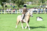SBM_50283