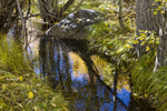 Eastern Sierras-29
