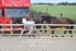 BPP_4728