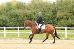 SBM_003603