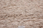 240121A-105104-01164