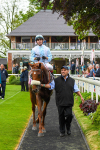 190523-Race 4-Giavellotto-0617