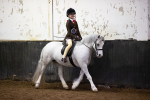 SBM_008980