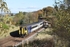 JL - 28.10.19 156471 2N15 10:54 Morpeth - Carlisle, Naworth Parks